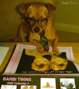 Dog_Calendar_barbi_twins